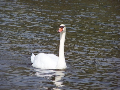 abfahren_20100515_1541941650