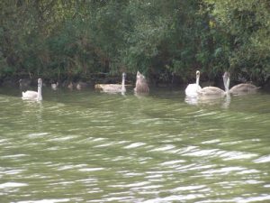 abfahren_20100515_2097272635